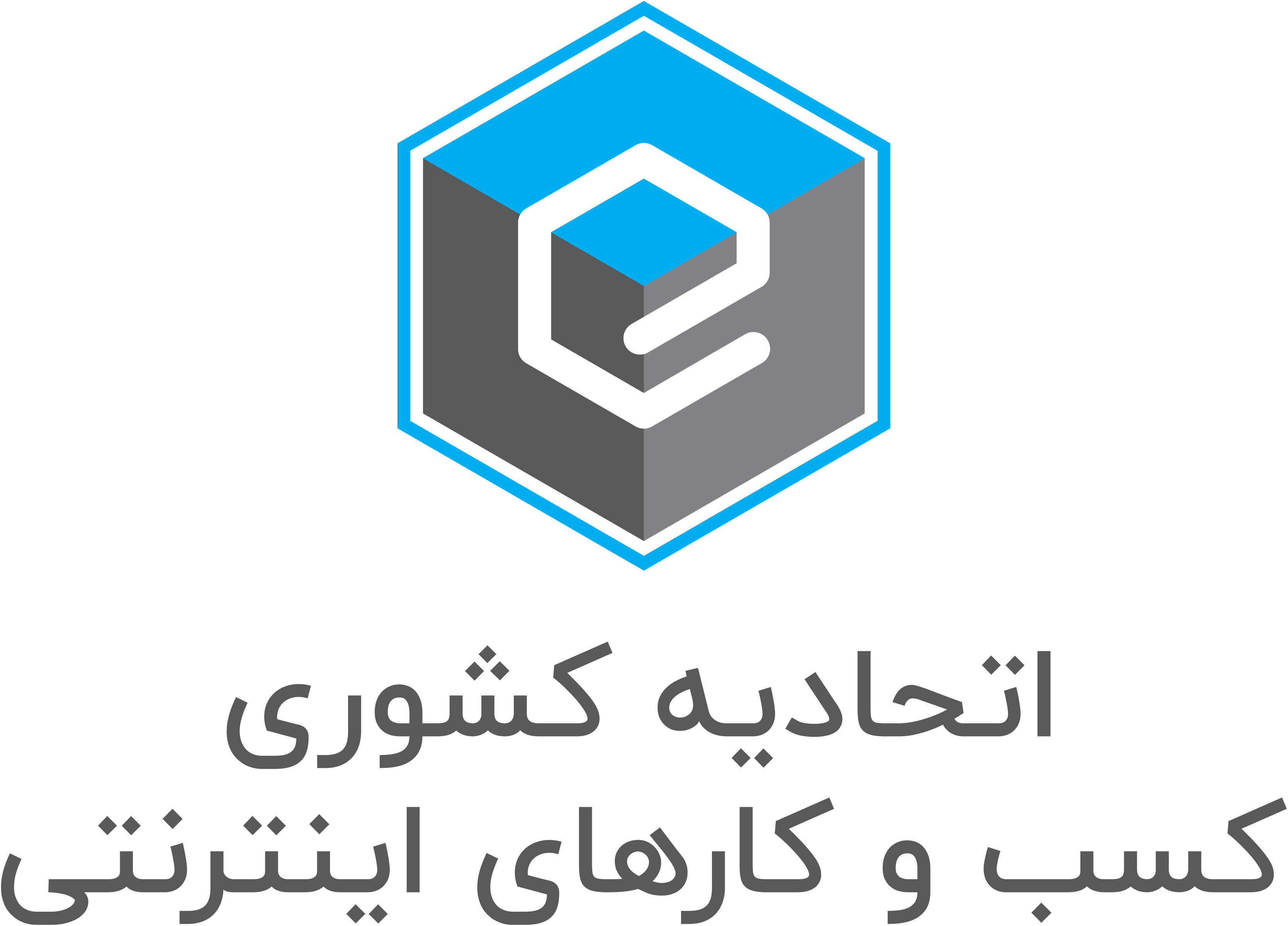 اتحادیه کشوری کسب و کارهای اینترنتی