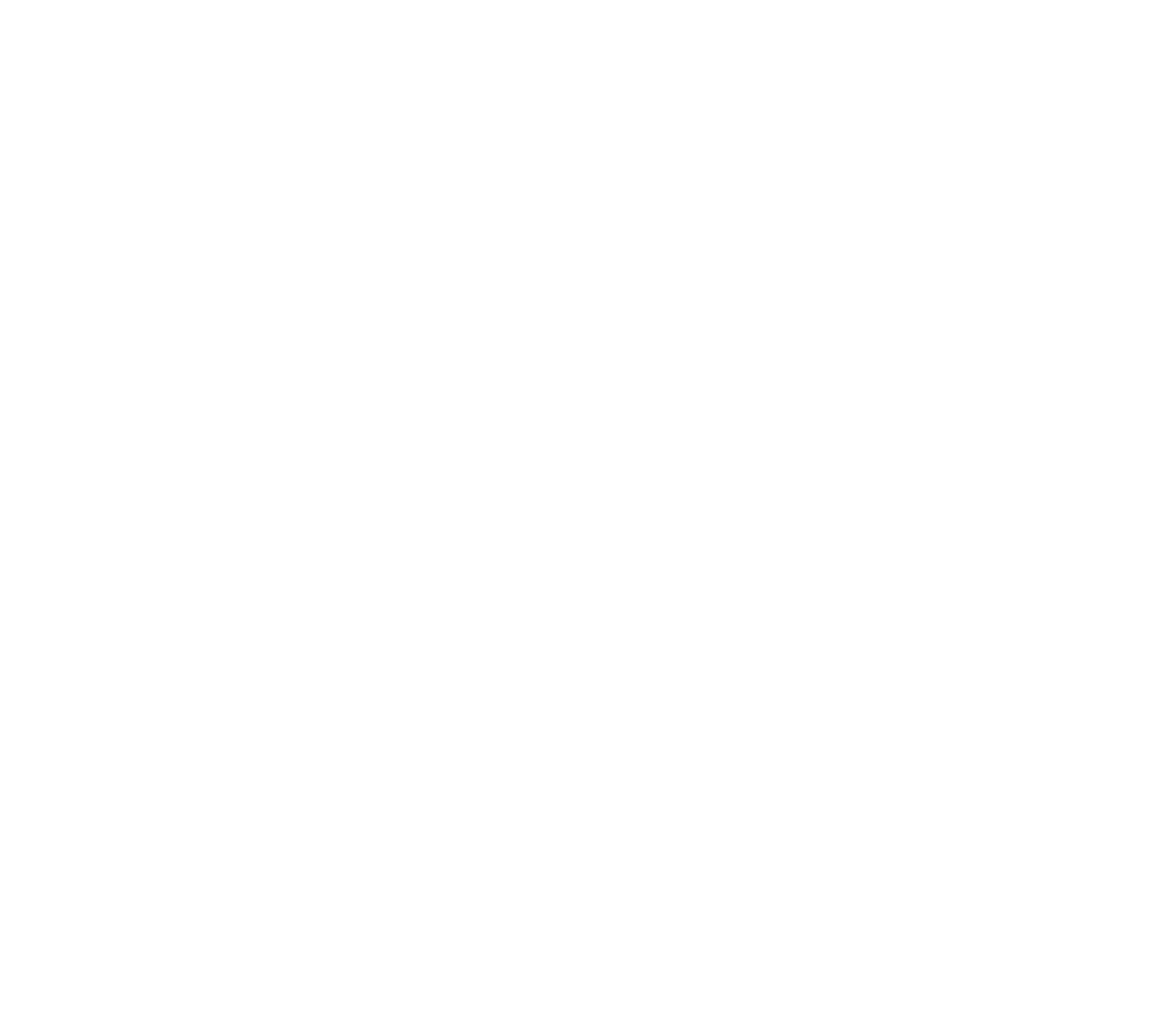 سازمان نظام صنفی رایانه ای کشور